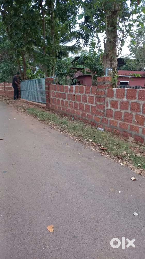 Open plot for rent in thivim