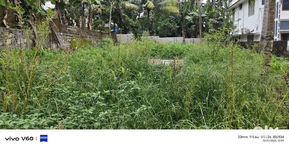 8 CENTS PRIME RESIDENCIAL PLOT FOR SALE  NEAR BHARATIYA VIDHYA BHAVAN