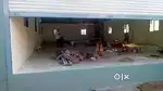 Industrial shed for rent