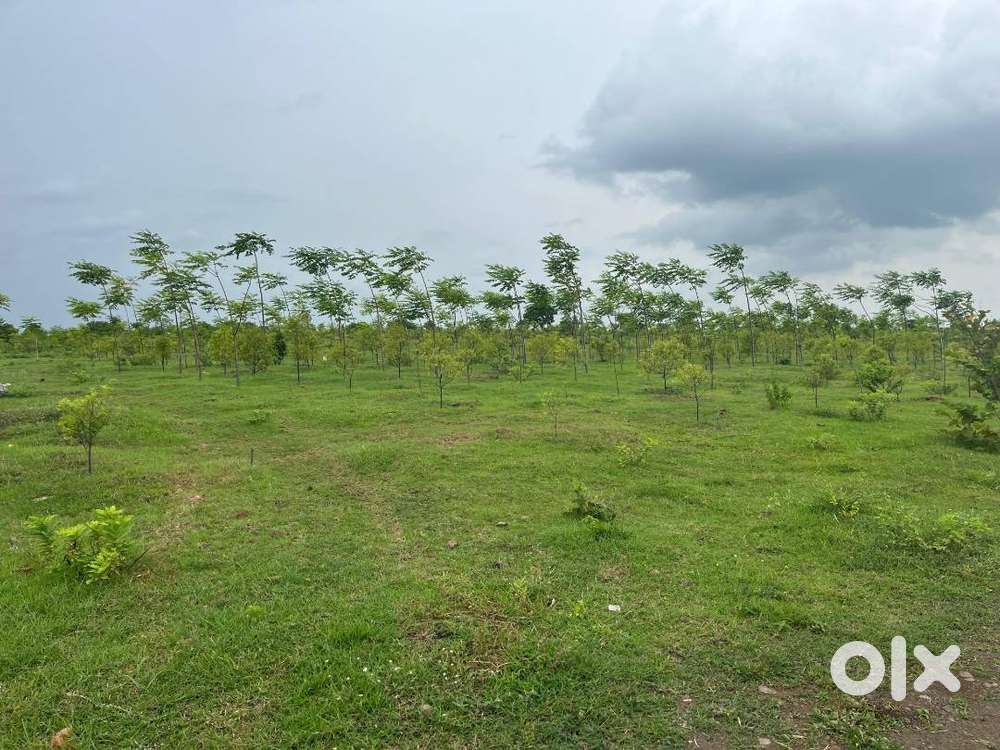 Farmland For Sale 606 sq yds , hyderabnad