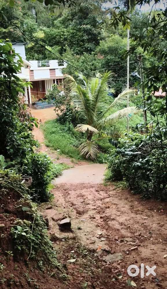 20 sent plot sale for Resort making