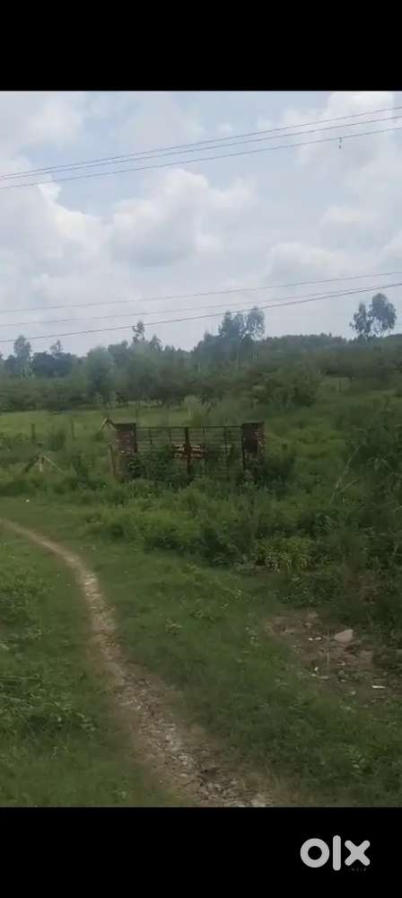 Agriculture 2 Bigha land for sale in anneki