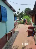 6 ganda jaiga sell