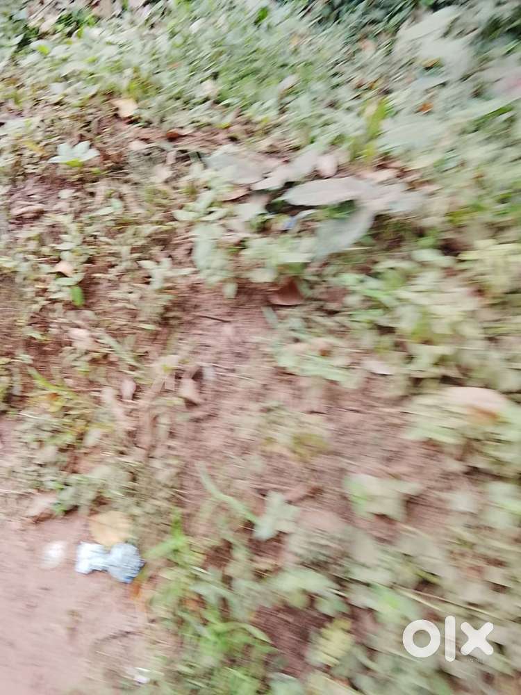 4 CENT LAND FOR SALE  MAVOOR ROAD ARAYIDATHUPALAM