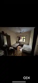 Need job person Roommate