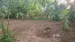 Land for sale at kodungallur