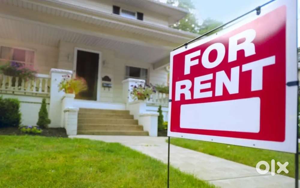 Peaceful and cozy environment