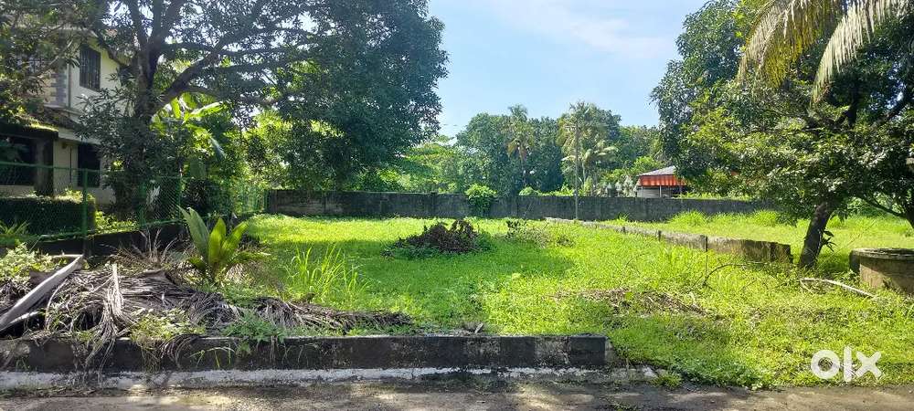 Aluva Kadungallur road 11cent plot for sale per ₹6.5 lakh