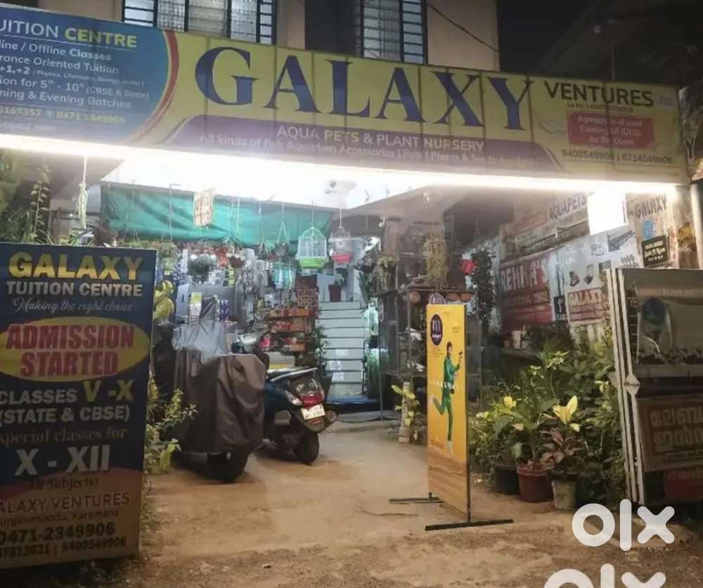 Sales Boy For Wholesale and Retail store