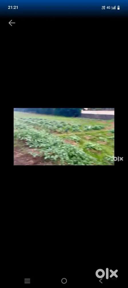 Paddy field for sale at kanjiramartom