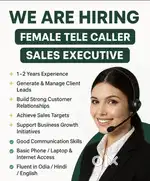 Telecaller sales executive