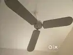 Vintage Ceiling Fans
