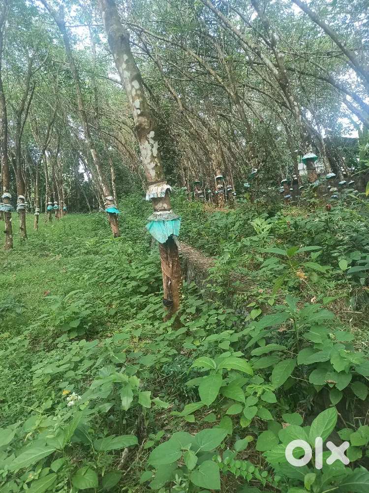 10-20cent for sale...