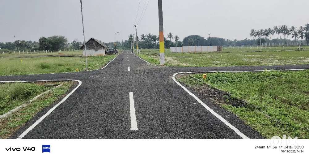 Plot for sale in near Big temple