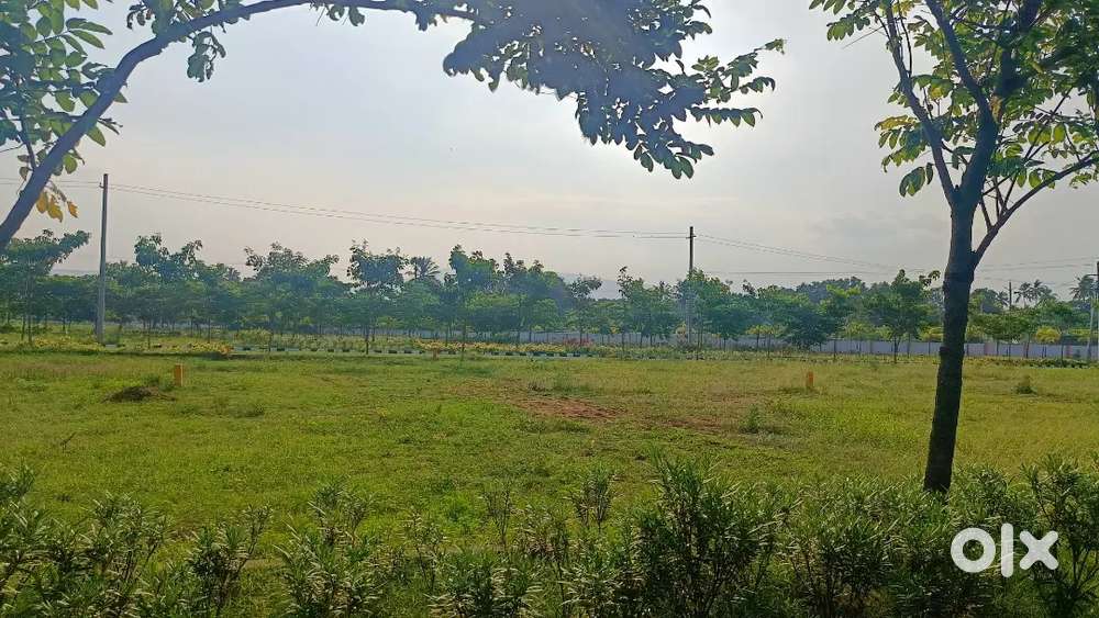 Bheemili plot for sale