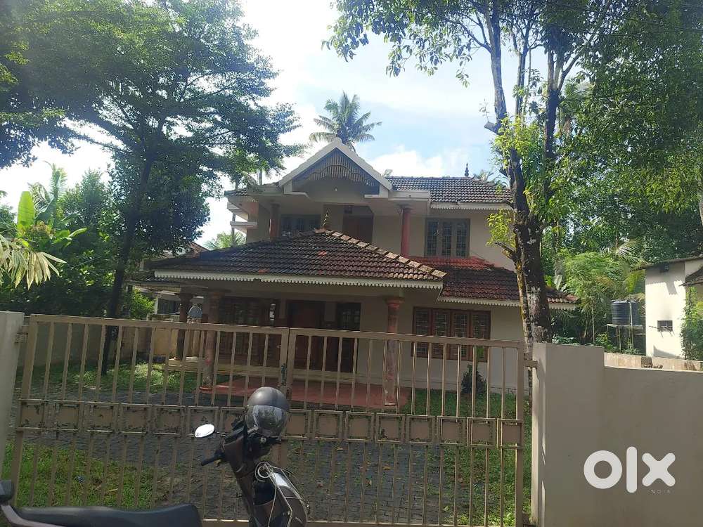 Kothamangalam കോഴിപ്പിള്ളി