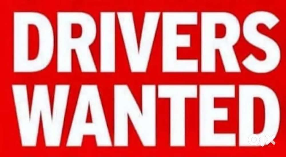 Wanted drivers for technopark staffs