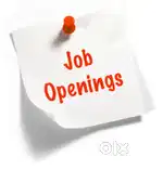 Urgently hiring data operator