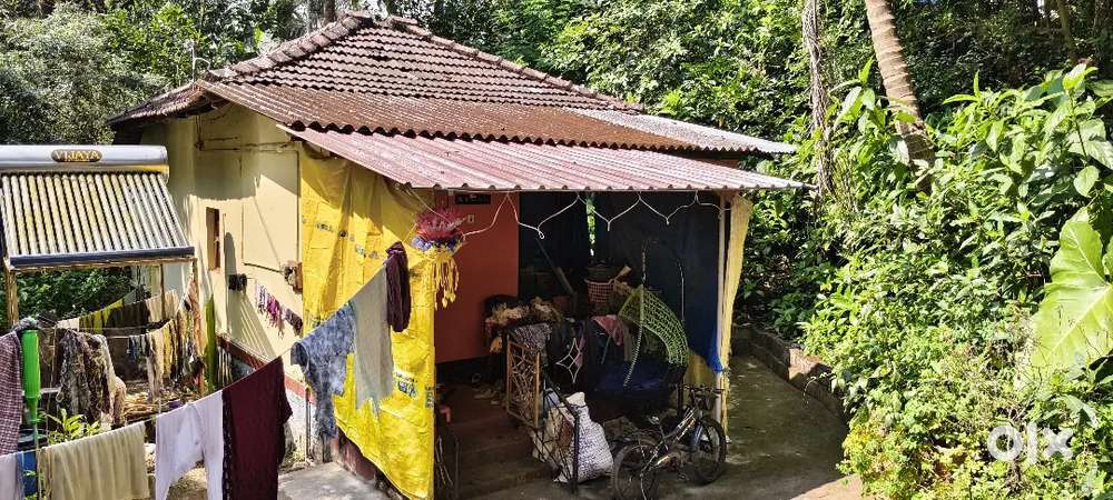 House with Grocery Shop for sale at Tenkanidiyoor (Prime location)