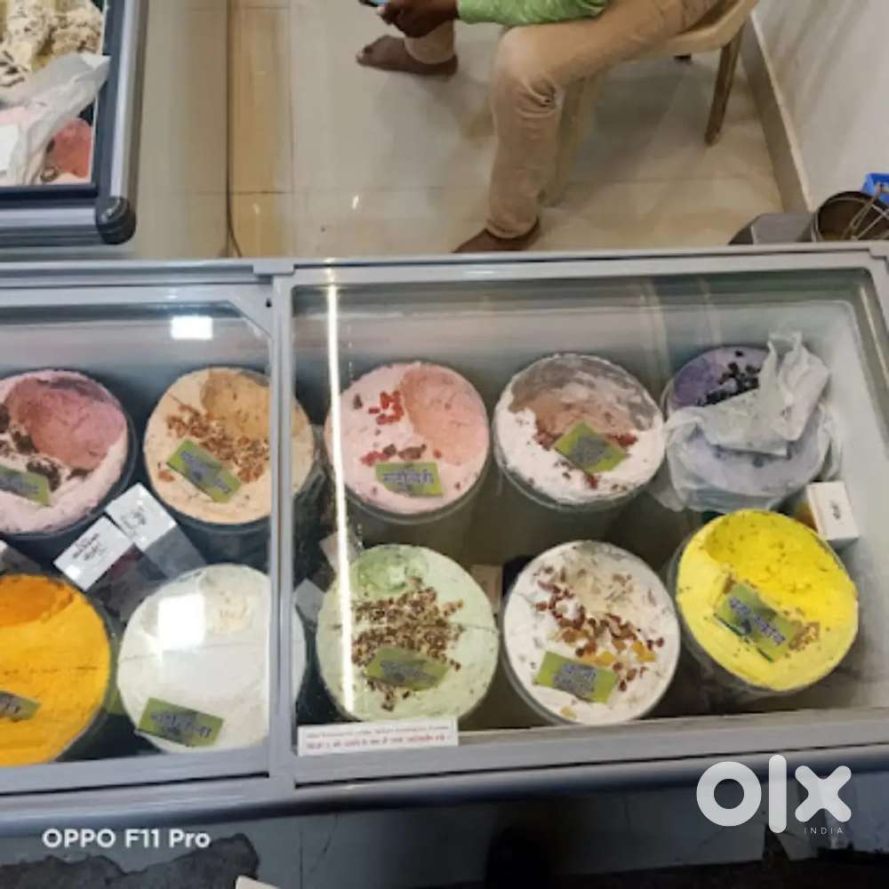 Western company deep fridge 550 later