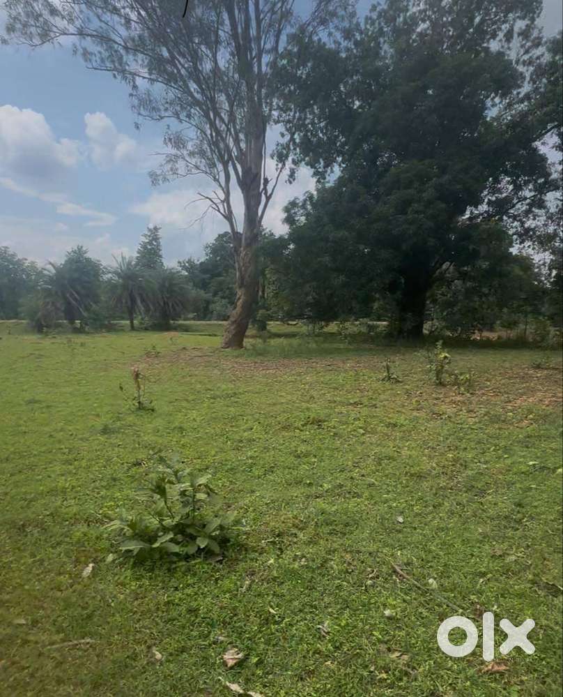 Bhanupratappur To Dalli Rajhara Main Road Front 180 Feet