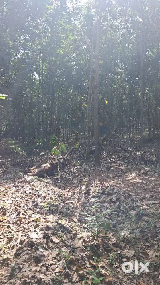 Open plot at Vellichandai is for sale