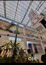 Sales manager required at aplha1