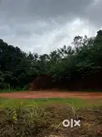 Road side Fully Clear plot