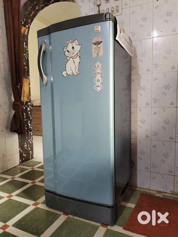 Godrej EDGE 221 L Refrigerator