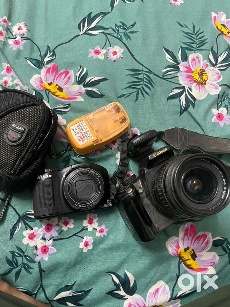 Nikon and canon camra
