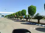 1000 sqft Residential plot in Omaxe Pratham