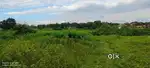 Land selling in mandu 40decimal urgent selling plot.