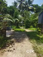 Plot for sale