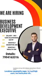Buisness devlopment executive
