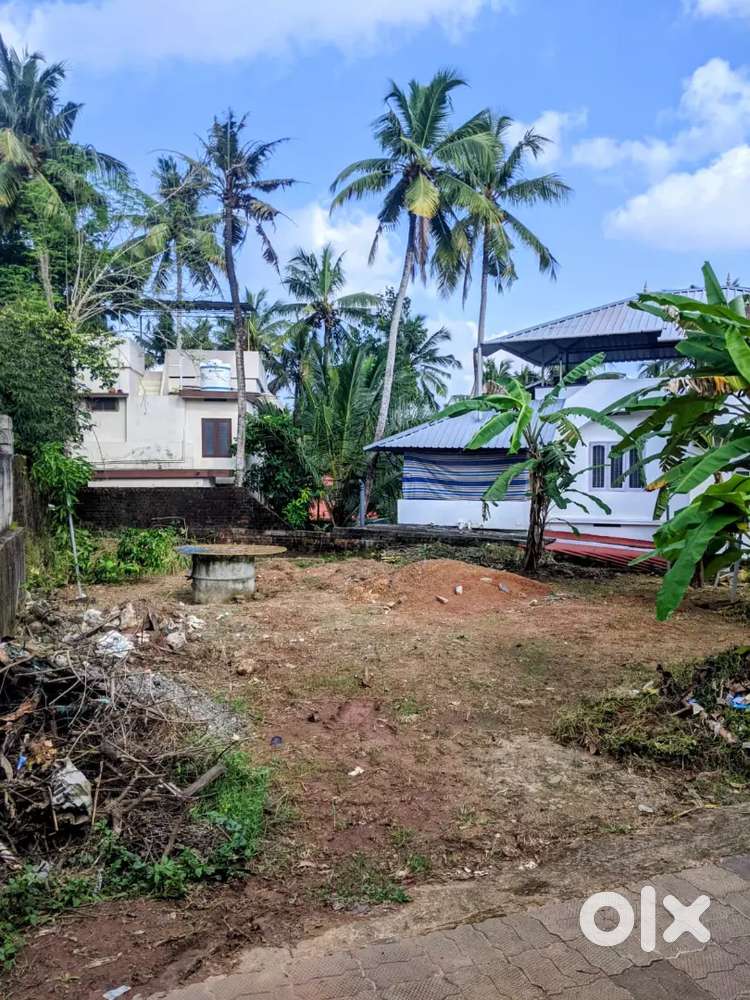 6 cent New house plot sale Nalanchira