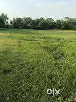 4 katha Land for Sale at Dhobatari Changsari