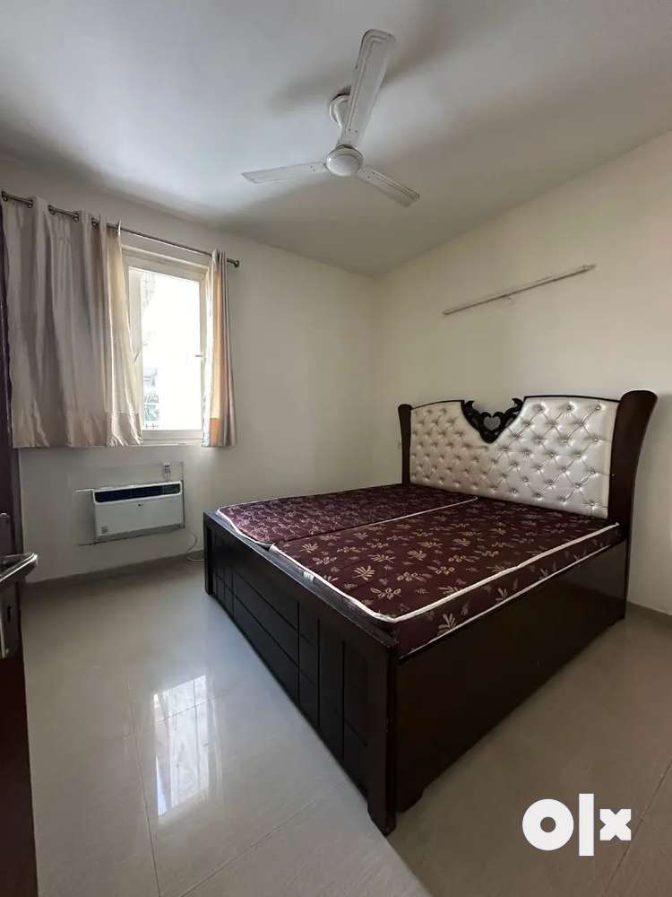 3Bhk fully furnished on VIP ROAD independent