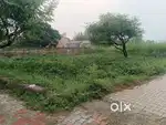 Plot for sale