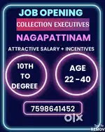 COLLECTION EXECUTIVES