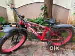 Fat tyres cycle
