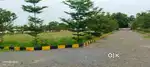 Luxery vuda open plot sale