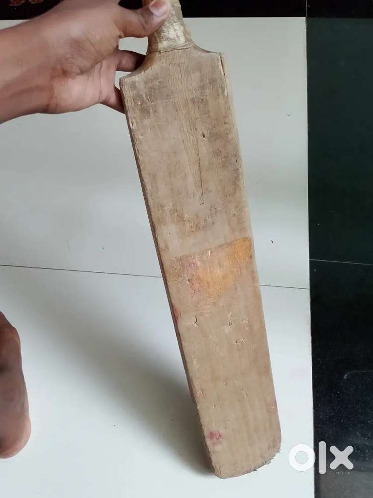Cricket bat