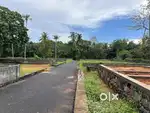 6, 17 cent Premium House Plot @ ANGAMALY