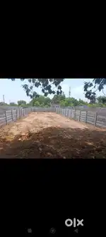 Plot for sale lrs & building Parametion available