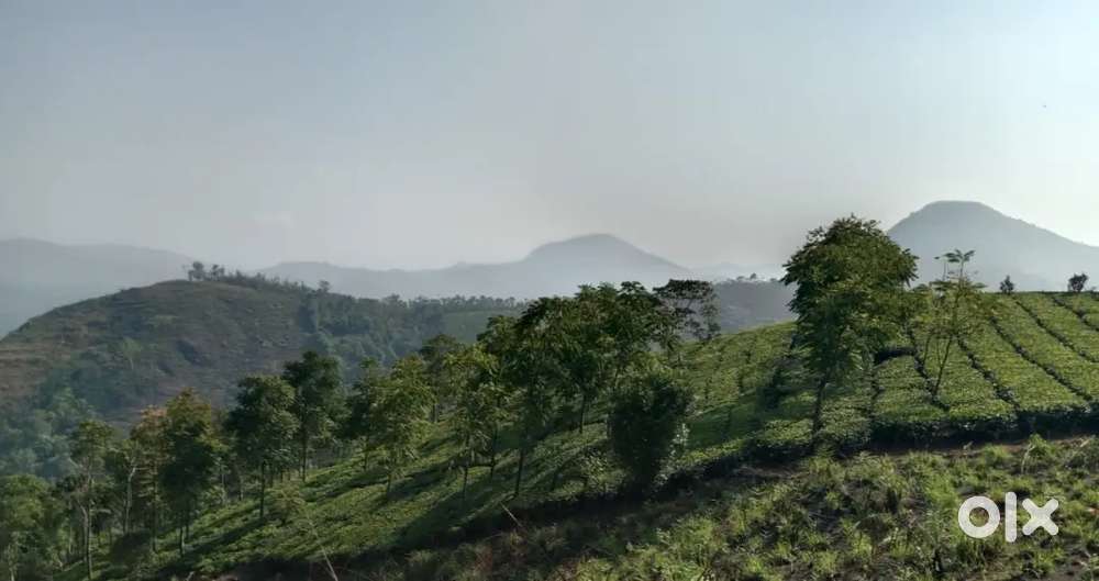 Near to Vagamon, 3 acre of pattayam land