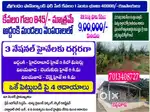 Farm Land with 53 Trees – Sandalwood, Jamun & Mahogany @ Addanki – ₹9