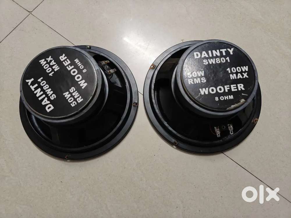 Dainty Woofer and Pioneer car speaker Pair