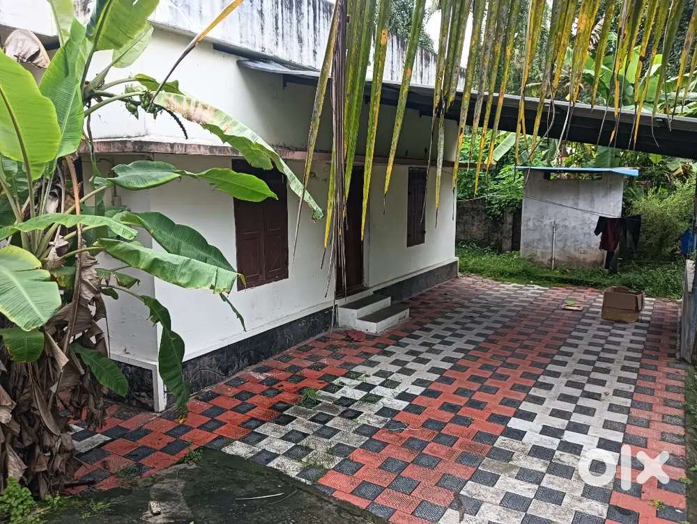 Kadappakada near koickal jun 7 cent and house