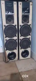 Personal D J Tower speaker with FM Bluetooth remote control