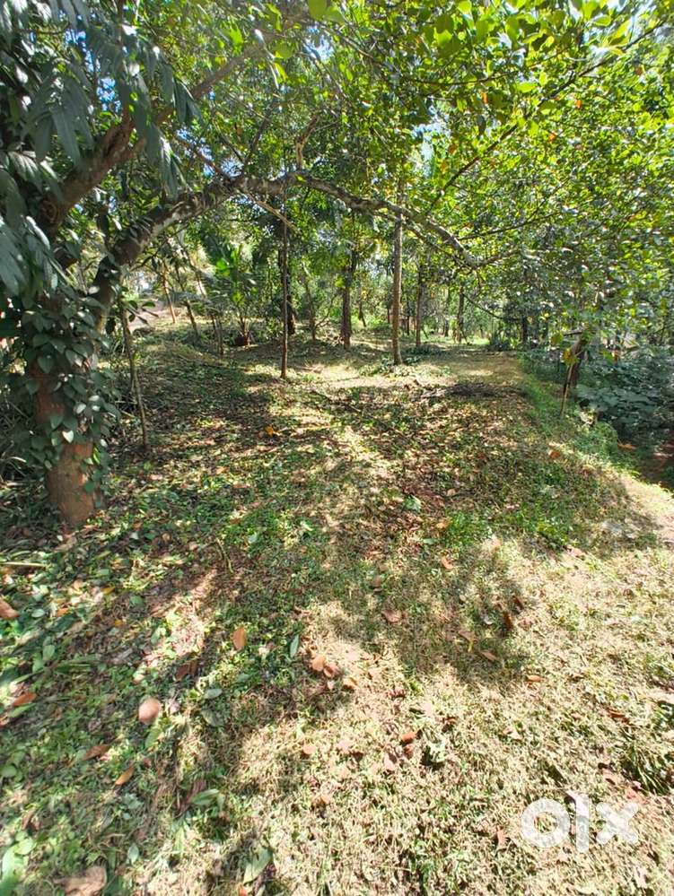Urgent house plot for sale